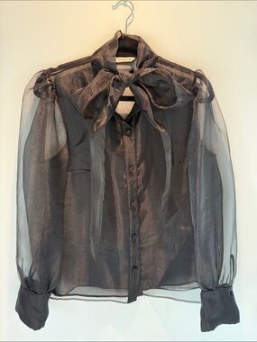 Zara Sheer Bow-Tie Blouse - Black